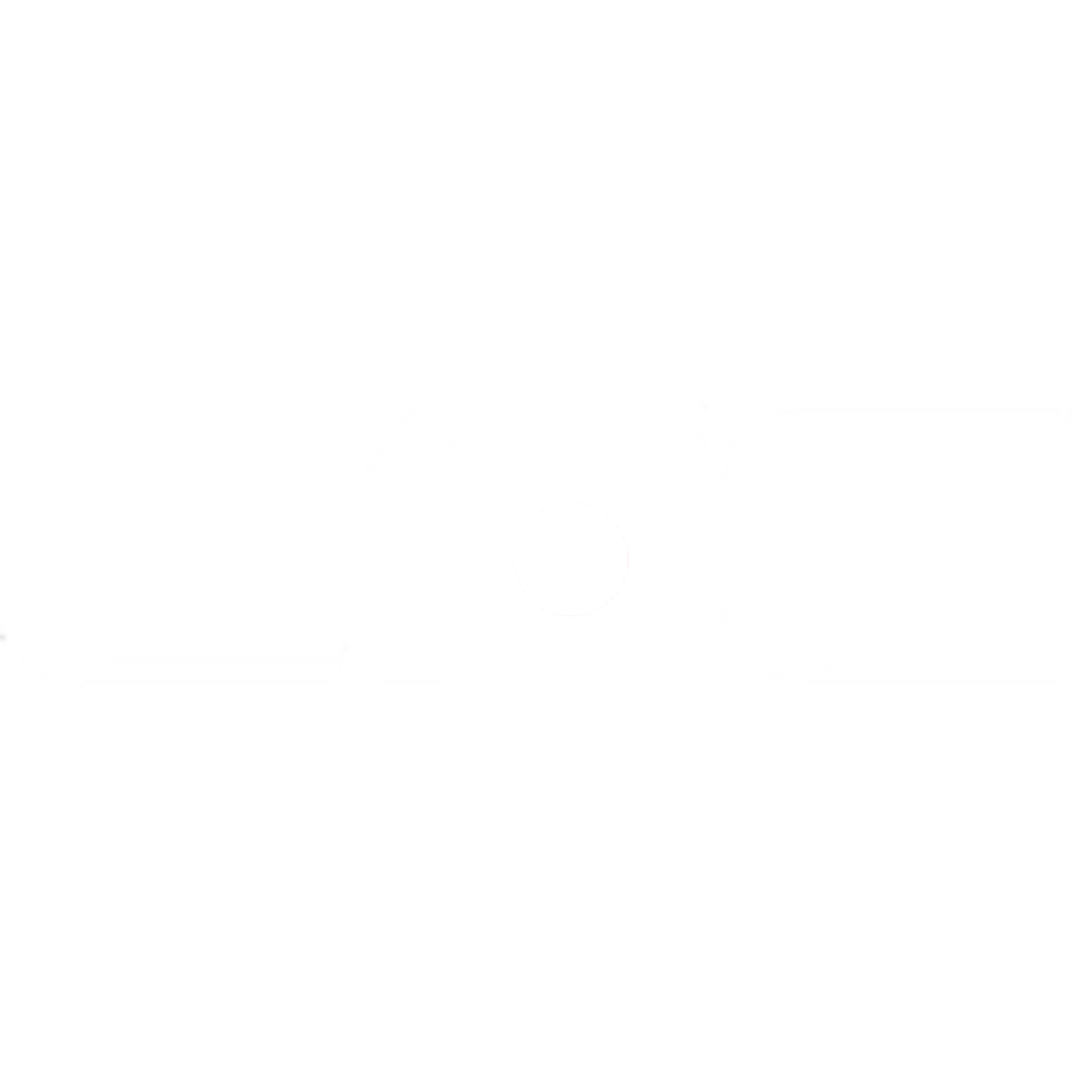 Level Five Cartronics logo